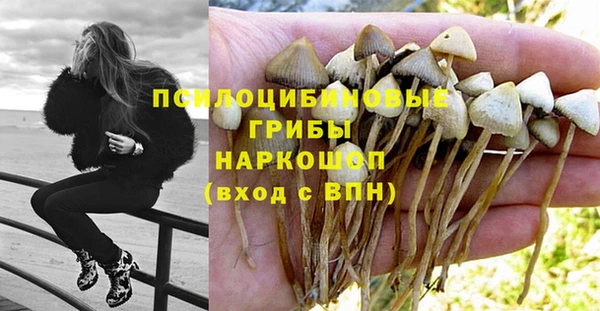 эйфоретик Лихославль