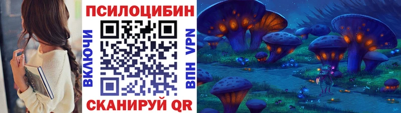 Купить где  Салават  Псилоцибиновые грибы мицелий 